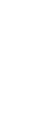 gallery grid image